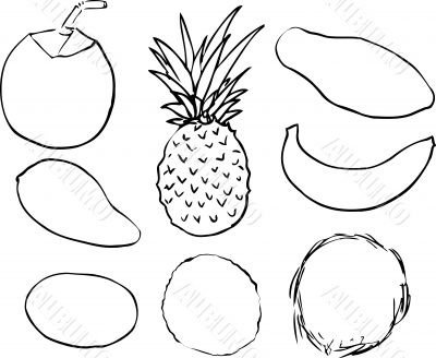 Tropical fruits illustration