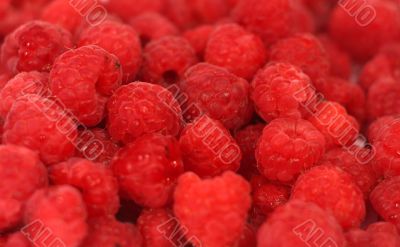 Raspberry - shallow focus 1