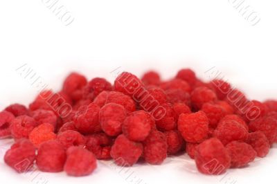 Raspberry - shallow focus 2