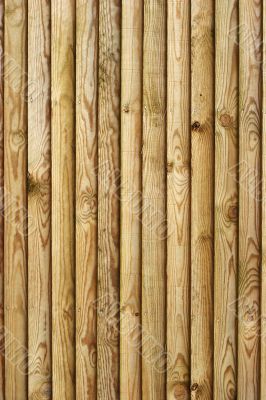 Wooden fence - portrait