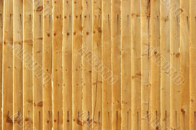Wooden Fence - landscape