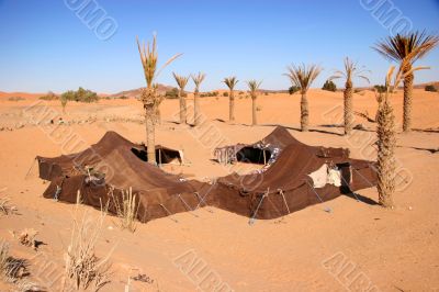 bedouin camp