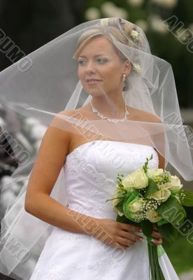 Beautiful bride
