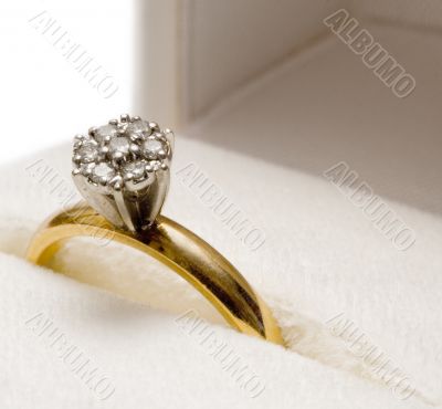 Nested Diamond Ring