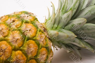 Pineapple - Close View