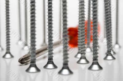 Standing Screws & Screwdriver