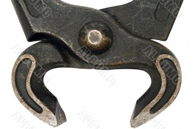 Black Open Pincer w/ Path - Close View