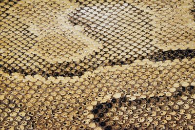 Textures &ndash; Snakeskin 4