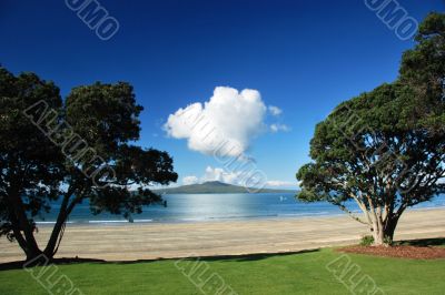 Rangitoto island through the trees