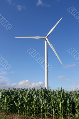 Wind turbine in a field