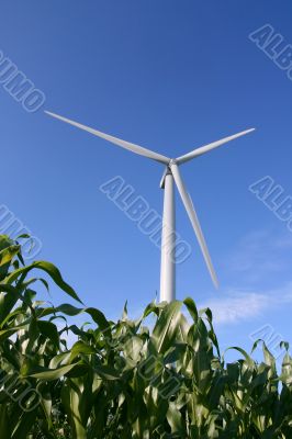 Wind turbine in a field