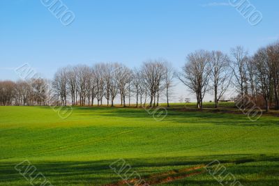 France