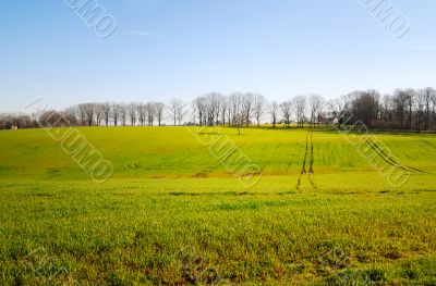 France