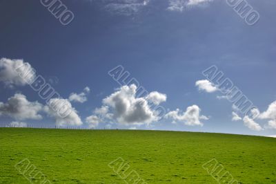 Blue sky and Green grass