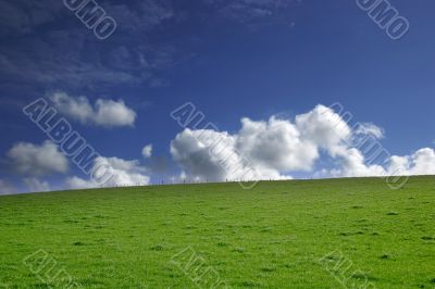 Green grass and blue sky - landscape