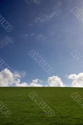 blue sky and green grass - portrait