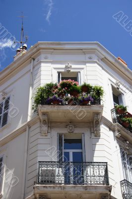 plants on balcony