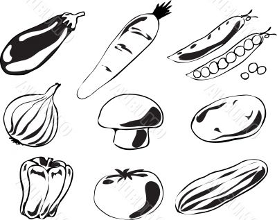 Vegetables illustration