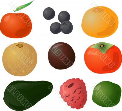 Fruits illustration