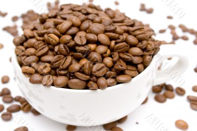 Raw Coffee