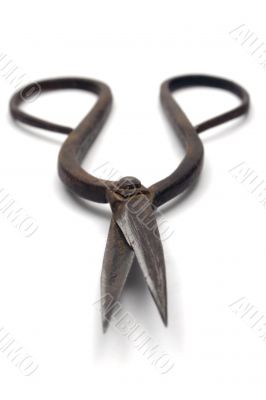 Rusty Scissors - Front View