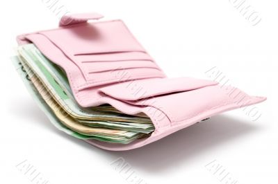 Pink Purse