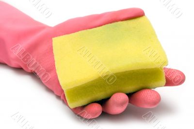 Cleaning the House