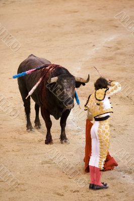 Final Blow
