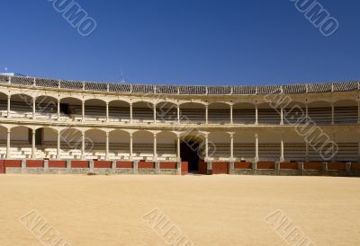 The Arena