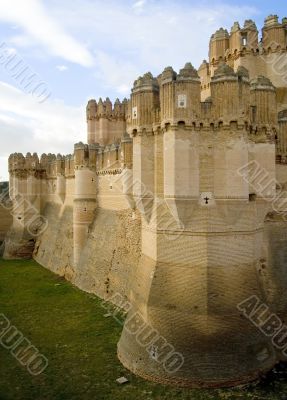 Moat of Coca Castle