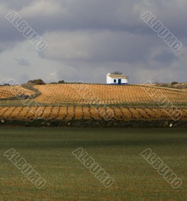 Fields in Spain