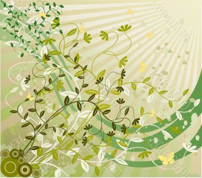 Abstract  floral background  - vector