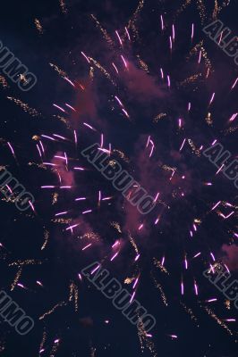 festival firework