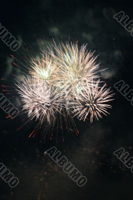 festival firework
