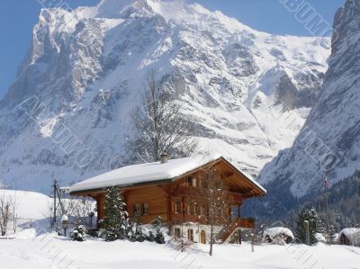 Winter landscape