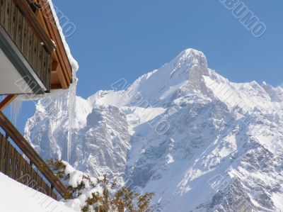 Winter landscape