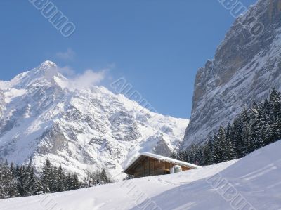 Winter landscape