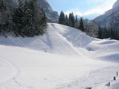 Winter landscape