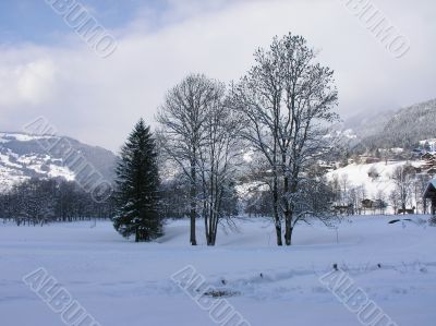 Winter landscape