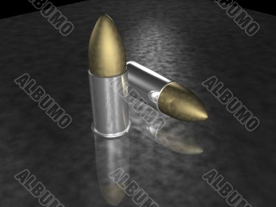 Two 9mm Bullets