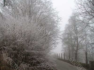 Frosty road