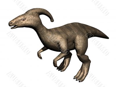 Parasaur