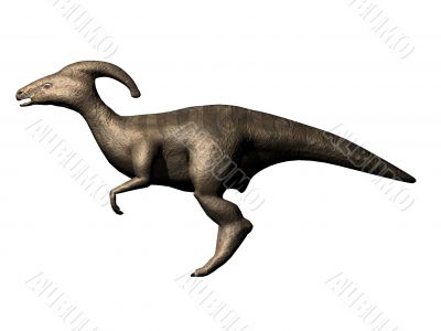 Parasaur