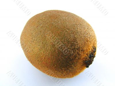 Kiwi fruit