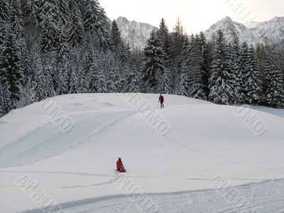 Beautiful winter landscape with trees