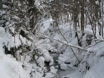 A snowy winter creek