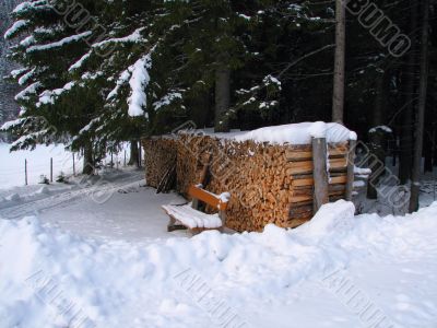 Bank in front of wood pile