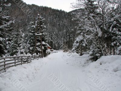 A beautiful winter scene
