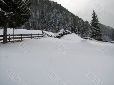A beautiful winter scene