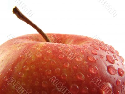 Red apple